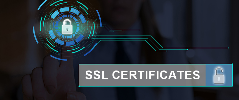 Top SSL certificates