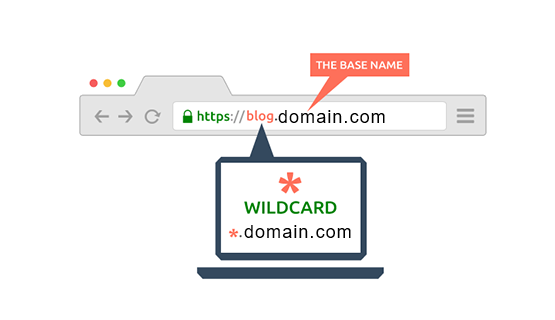What does a Wildcard SSL certificate cover? 